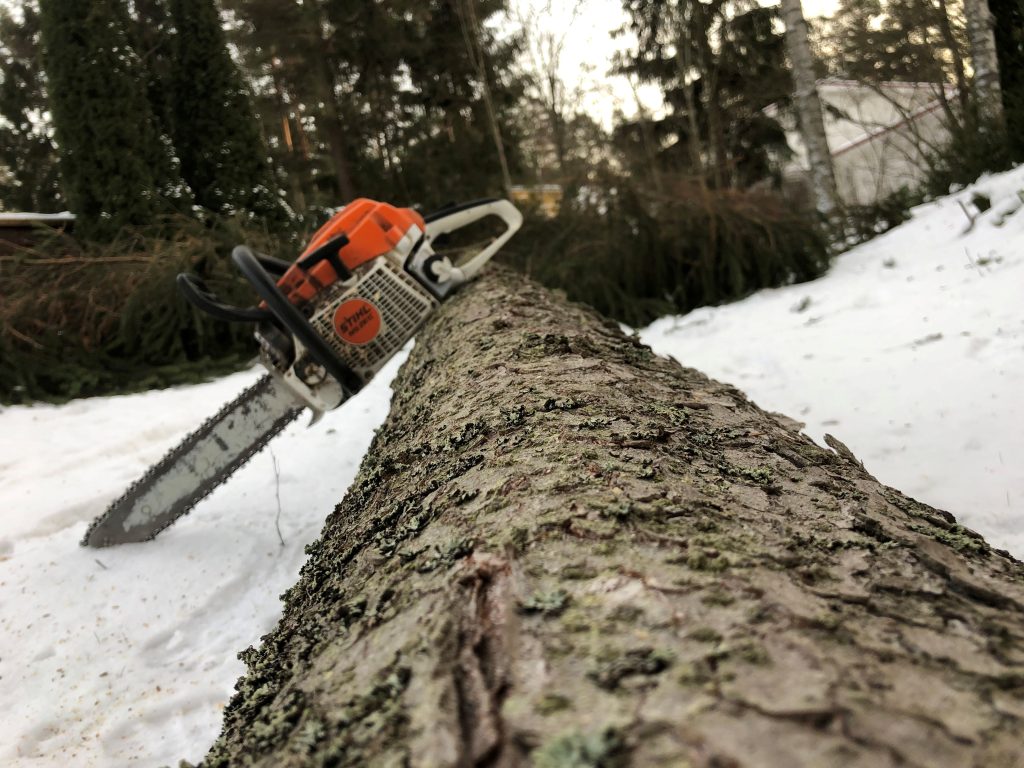 Puunkaato – luvat ja määräykset vuonna 2026