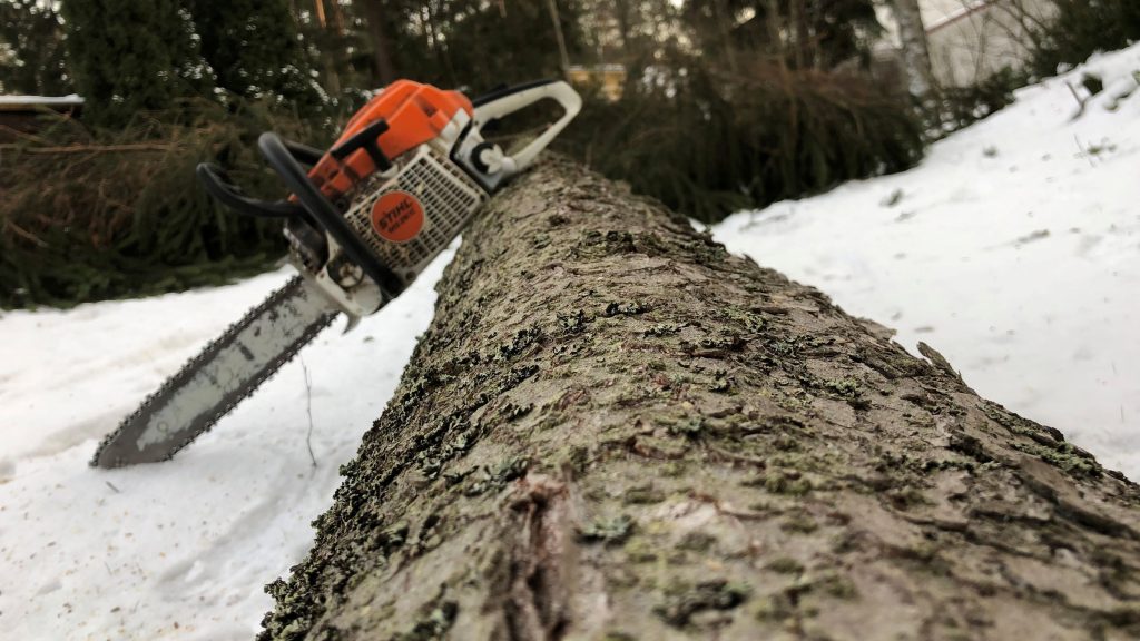 Millainen metsuri koulutus alalle vaaditaan?