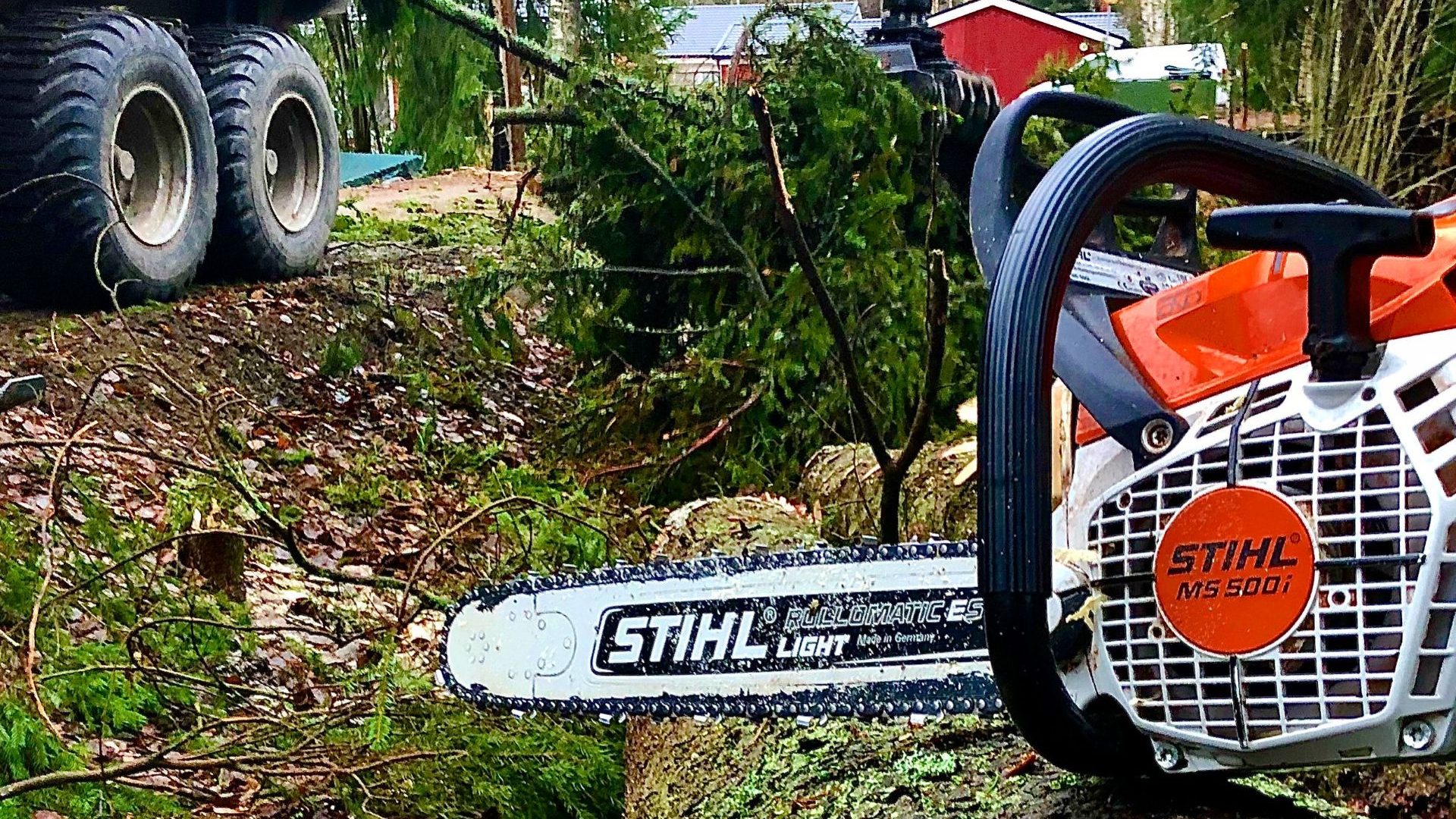 Mitkä tekijät vaikuttavat arboristin työn hintaan?